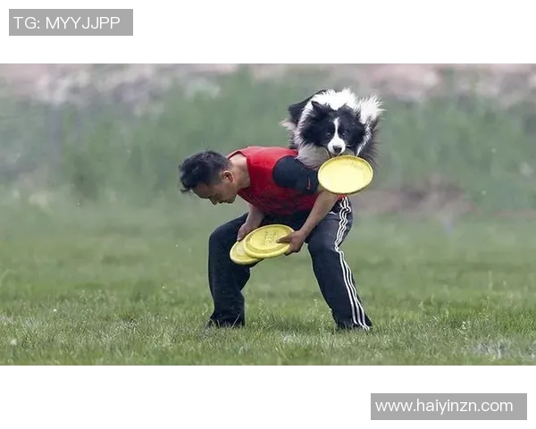 飞盘世界的追逐与梦想吴军分享他的飞盘生涯故事与心路历程