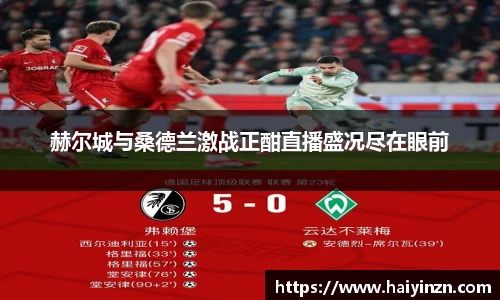 赫尔城与桑德兰激战正酣直播盛况尽在眼前