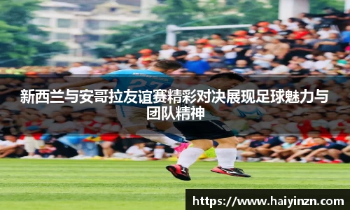 6t体育