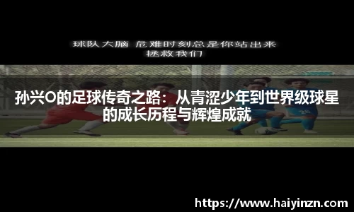 6t体育官方网站