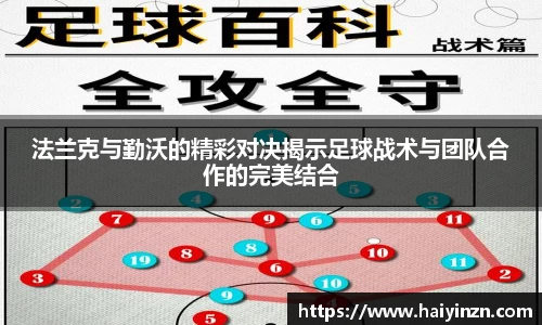 6t体育官网