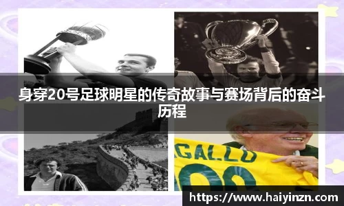 6t体育官方网站